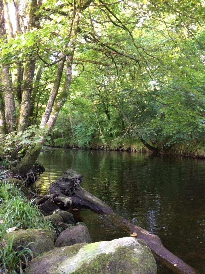 Riverside Apartment Betws-y-Coed Zewnętrze zdjęcie